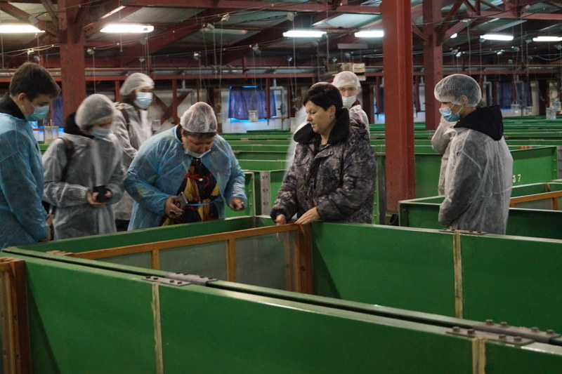 Студенты КГТУ на Паратунском экспериментально-производственном лососевом рыбоводном заводе