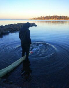 Ладожское озеро пополнилось запасами палии