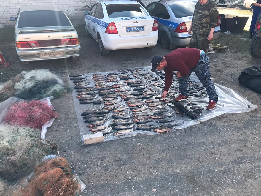В Псковской области у браконьера изъято 23 запрещенных орудия лова и незаконно добытая рыба