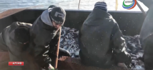 2020-й – рекордный по вылову рыбы для Дагестана