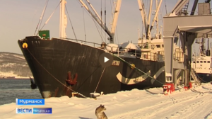 1 400 тонн рыбы доставили в Мурманский порт